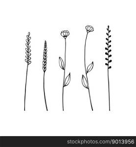 Set of herbs and wild flowers. Hand drawn floral elements. Vector illustration isolated on white background.