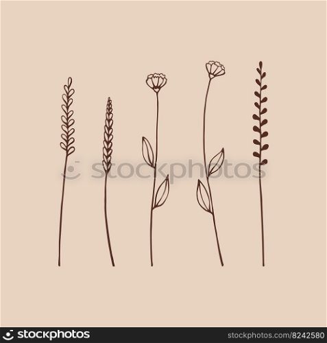 Set of herbs and wild flowers. Hand drawn floral elements. Vector illustration.