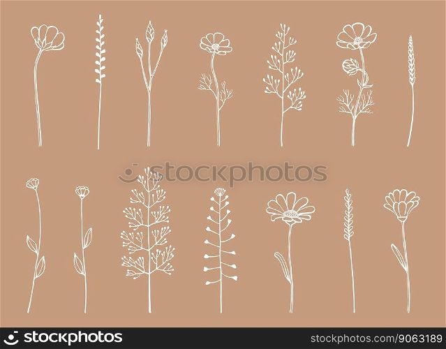 Set of herbs and wild flowers. Hand drawn floral elements. Vector illustration.