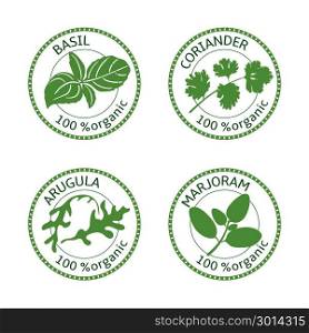 Set of herbs labels. 100 organic. Vector. Set of herbs labels. 100 organic. Greenery collection. Vector illustration. Basil, arugula marjoram coriander