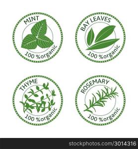 Set of herbs labels. 100 organic. Vector. Set of herbs labels. 100 percent organic. Greenery collection. Vector illustration. Rosemary, mint bay leaves thyme
