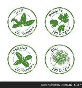 Set of herbs labels. 100 organic. Vector. Set of herbs labels. 100 percent organic. Greenery collection. Vector illustration. Parsley, oregano dill sage