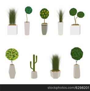 Set of Home Green Plant in Nice Pot. Vector Illustration. EPS10. Set of Home Green Plant in Nice Pot. Vector Illustration.