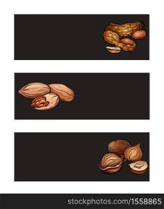 Set of horizontal banners with various cartoon nuts on a dark background with place for text. Hazelnuts, peanuts, pecans. Vector templates for recipes, cards, covers and your design.. Set of horizontal banners with various cartoon nuts on a dark background with place for text. Hazelnuts, peanuts, pecans. Vector templates