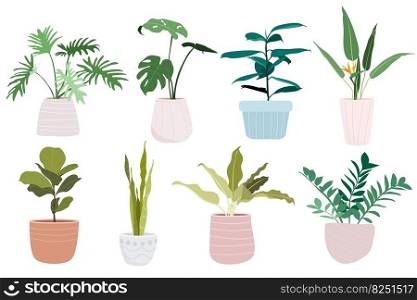 Set of house plants in pots