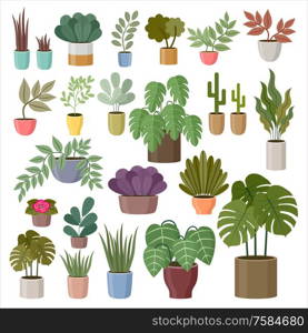 Set of house plants on a white background. Vector Illustration