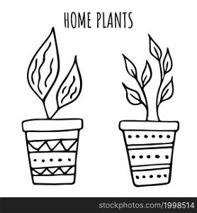Set of houseplant vector with simple line doodle design. Set of houseplant vector illustration with simple line doodle design