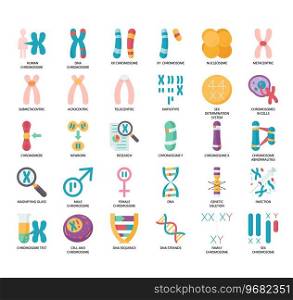 Set of Human chromosome thin line icons for any web and app project.