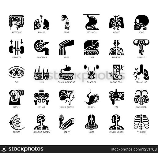 Set of human organ thin line and pixel perfect icons for any web and app project.