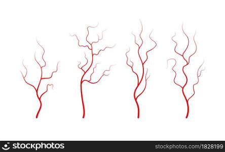Set of human veins and arteries. Red branching blood vessels and capillaries. Vector illustration isolated on white background.. Set of human veins and arteries. Red branching blood vessels and capillaries. Vector illustration isolated on white background