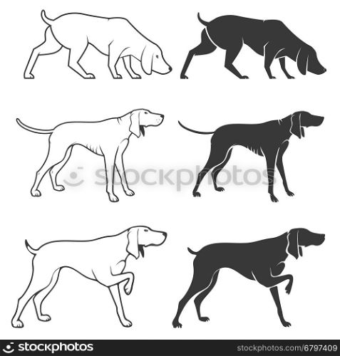 Set of hunting dogs illustrations. Design elements for logo, label, emblem, badge, sign.