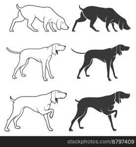 Set of hunting dogs illustrations. Design elements for logo, label, emblem, badge, sign.