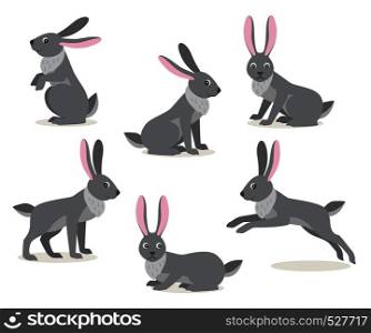 Set of icon cute gray hare in different pose isolated on white background, forest, woodland animal, vector illustration in flat style. Set of cute gray hare in different pose on white background