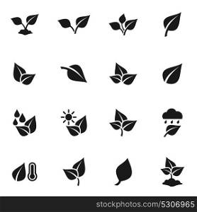 Set of icons on the theme of leaves. Vector illustration