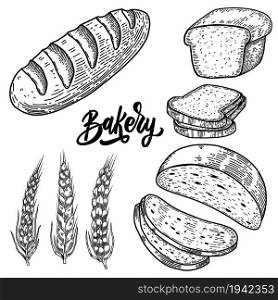 Set of Illustrations of bread in engraving style. Design element for poster, card, banner, menu. Vector illustration