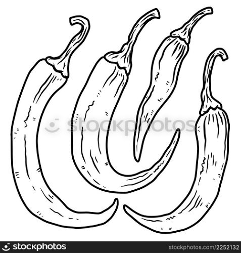Set of illustrations of chilli peppers in engraving style. Design element for emblem, sign, poster, card, banner, flyer. Vector illustration