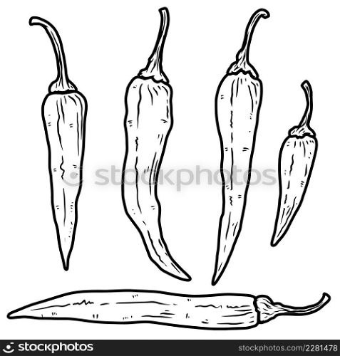 Set of illustrations of chilli peppers in engraving style. Design element for emblem, sign, poster, card, banner, flyer. Vector illustration