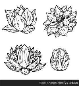Set of Illustrations of lotus flower in engraving style. Design element for emblem, sign, poster, card, banner, flyer. Vector illustration