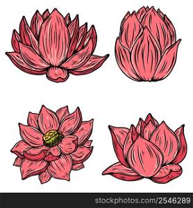Set of illustrations of lotus flower in engraving style. Design element for poster, card, banner, sign. Vector illustration