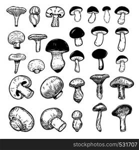 Set of illustrations of mushrooms isolated on white background. Design elements for logo, label, sign, badge, poster. Vector image