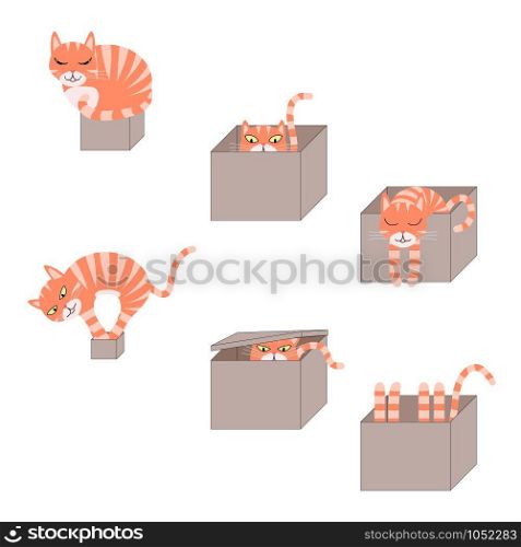 set of images of icons with a cat in a cardboard box. Vector Illustration. Set of cute cartoon cats in boxes