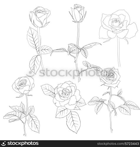 Set of in hand drawn style roses. Vector EPS 10 illustration.