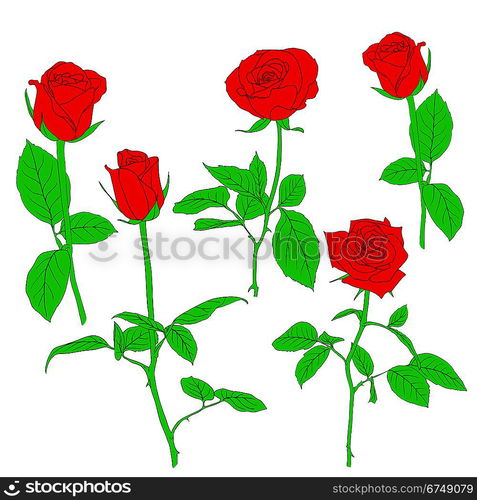 Set of in hand drawn style roses. Vector EPS 10 illustration.