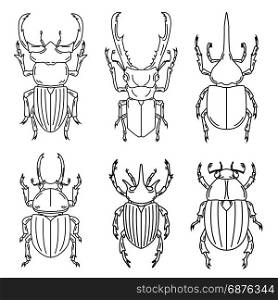 Set of insects illustrations isolated on white background. Vector illustration