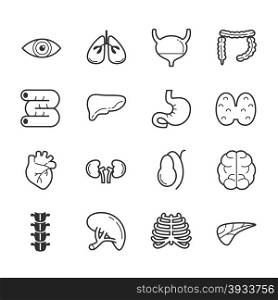 Set of internal organs icons , eps10 vector format