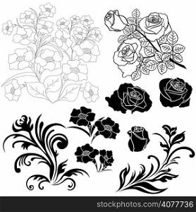 Set of isolated floral elements for design, vector illustration hand drawing