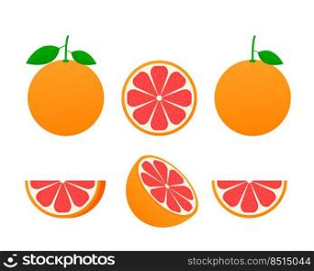 Set of isolated grapefruits. Realistic citrus image.. Set of isolated grapefruits. Realistic citrus image. 3d vector