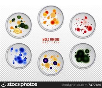 Set of isolated mold fungus bacteria colony spots realistic images on transparent background with editable text vector illustration