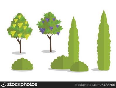 Set of Isolated Trees and Bushes. Set of isolated trees and bushes in flat. Tree forest, leaf tree isolated, tree branch nature green, plant eco branch tree, organic natural wood illustration. Vector illustration on white background.