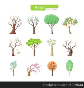 Set of isolated trees design flat. Tree forest, leaf tree vector isolated, tree branch nature green, plant eco branch tree, organic natural wood illustration