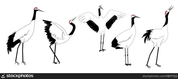 Set of japanese cranes. Colored animal.