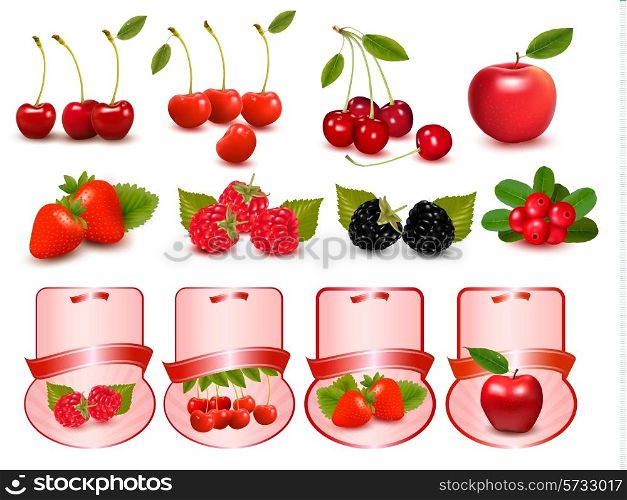 Set of labels with berries and fruit. Vector illustration.