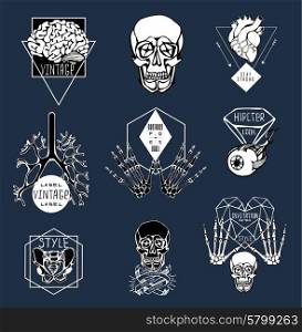 Set of Labels with hand draw human skeleton and anatomy. Set of Labels with hand draw human