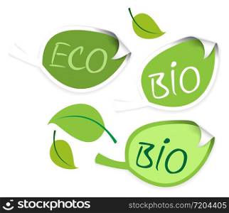 Set of leaf labels for organic, fresh, healthy, bio food