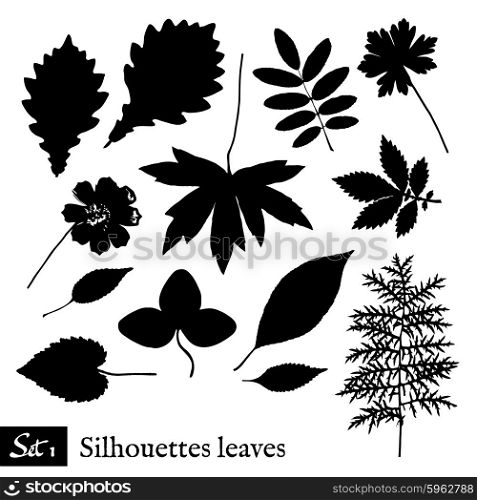 Set of Leaf Silhouettes. Isolated on white. Vector collection.