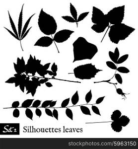 Set of Leaf Silhouettes. Isolated on white. Vector collection.
