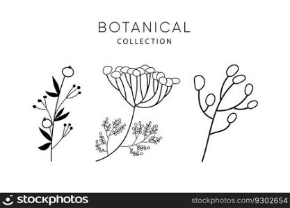 Set of leaves elements. Collection botanical vector isolated on white background suitable for Wedding Invitation, save the date, thank you, or greeting card.. Set of leaves doodle elements.