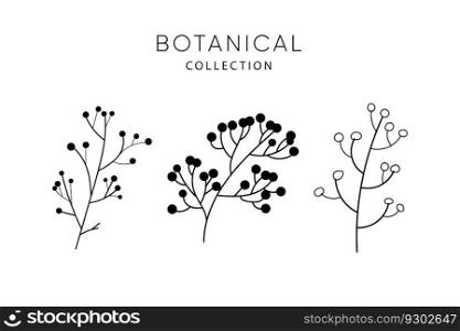 Set of leaves elements. Dried flowers. Collection botanical vector isolated on white background suitable for Wedding Invitation, save the date, thank you, or greeting card.. Set of leaves elements. Dried flowers