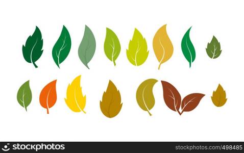 Set of leaves of different plants in summer and autumn colors. Ideal for textiles, packaging, paper printing, simple backgrounds and textures.