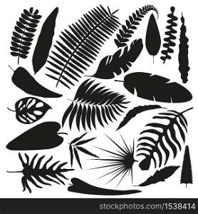Set of leaves of different shapes in flat style. Clipart of black exotic and tropical leaves.. Set of leaves of different shapes in flat style.
