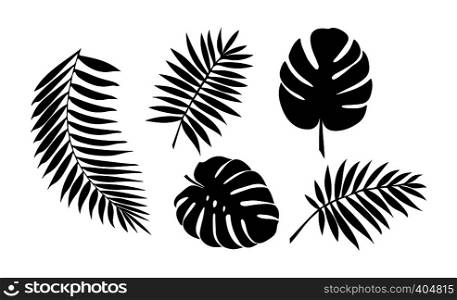 set of leaves of tropical plants, Botanical set, flat design