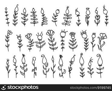 Set of linear doodle plants with flowers and berries, stylized herbs vector illustration for design