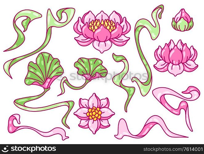 Set of lotus flowers. Art Nouveau vintage style. Water lily decorative illustration. Natural tropical plants.. Set of lotus flowers. Art Nouveau vintage style.