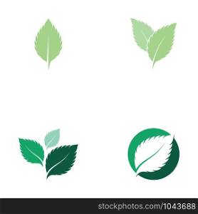 set of mint leaves flat vector color icon template