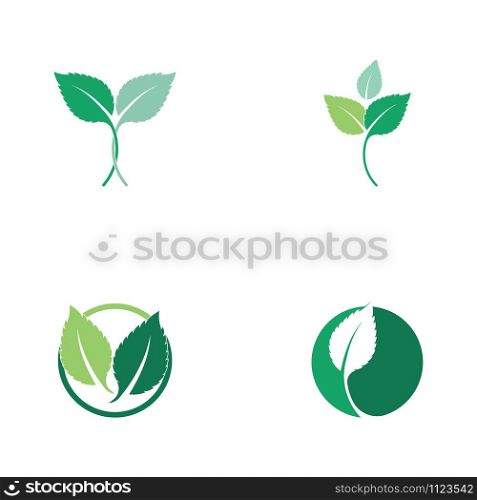 Set of Mint leaves flat vector color icon template