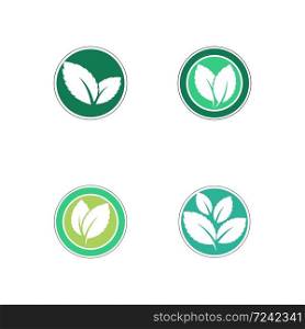 Set of Mint leaves flat vector color icon template